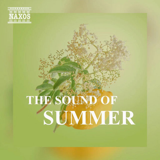 久久久82久久久
